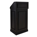 LEXUS MINI Empfangsbox