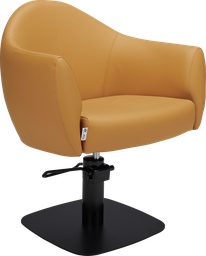 BEA Hairdressing chair