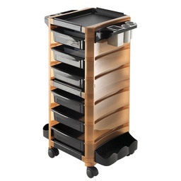 X-STYLING Chariot de coloration et rangement